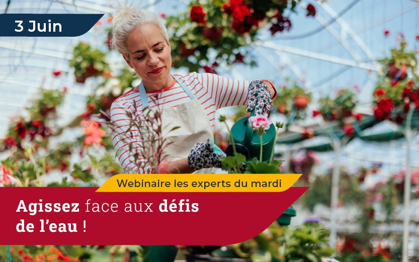 webinaire le 3 juin sur les défis de l’eau